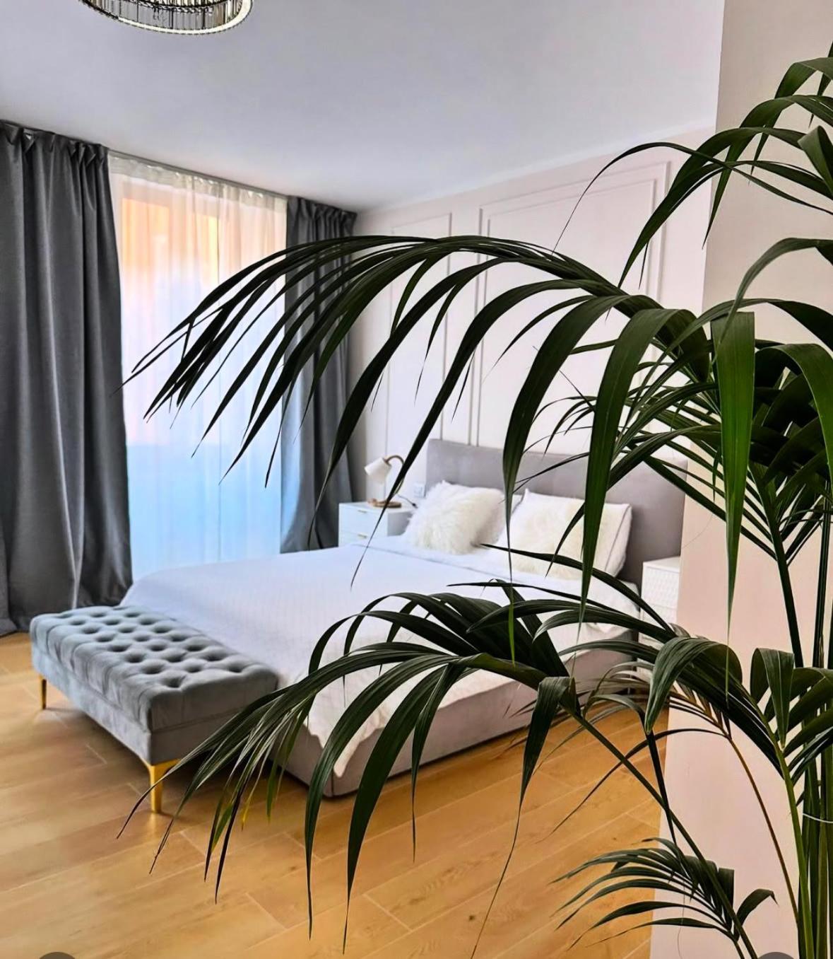 Luna Luxury Suite 贝尔加莫 外观 照片